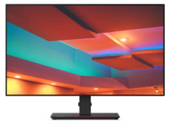 Lenovo ThinkVision P27h-20 27 2560 x 1440 (2K) HDMI DisplayPort USB-C  Dockingskærm